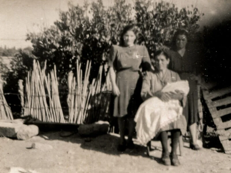 Andreadakis familie - 5 generationer tradition om produktion af EVVO på øen Kreta
