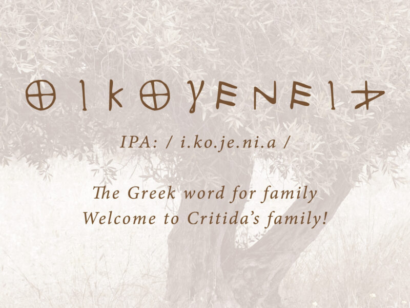 Engrossalg af EVOO fra Kreta, Grækenland - Græsk EVOO og økologisk (BIO) EVOO leverandør af olivenolie