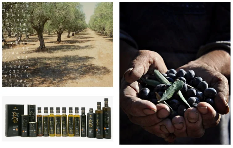 aceitunas y aceite de oliva