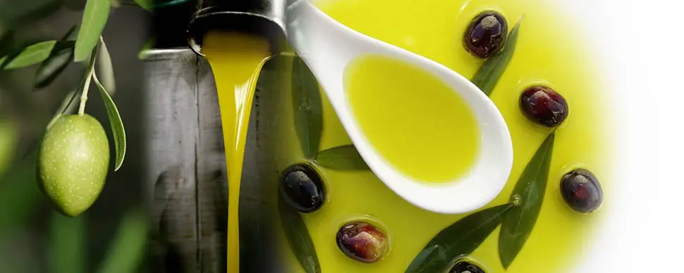 fördelarna med olivolja för hälsan