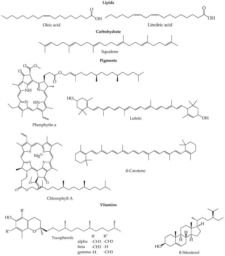 representativa kemiska strukturer för några relevanta föreningar i EVOO