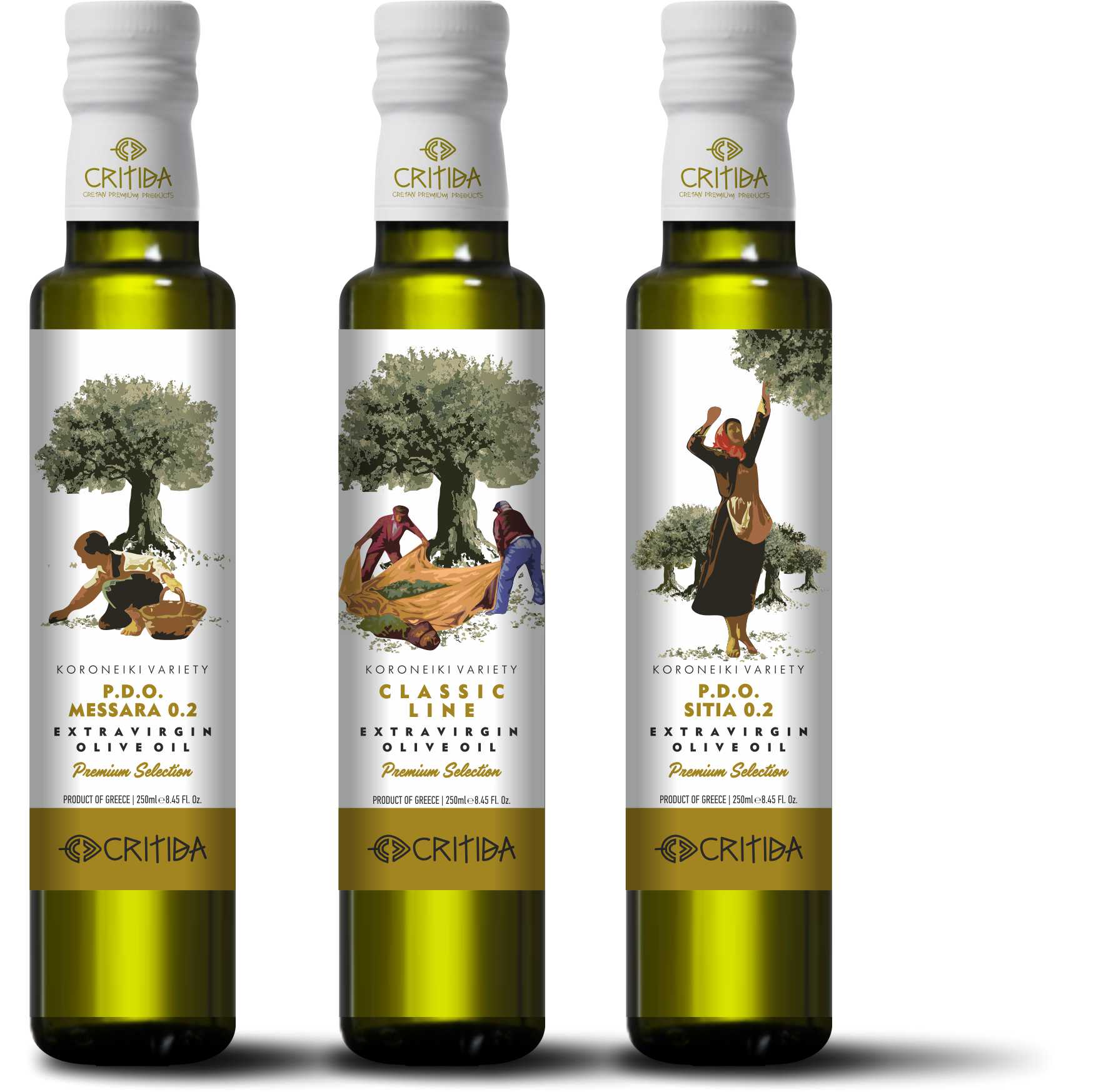 經典系列特級初榨橄欖油