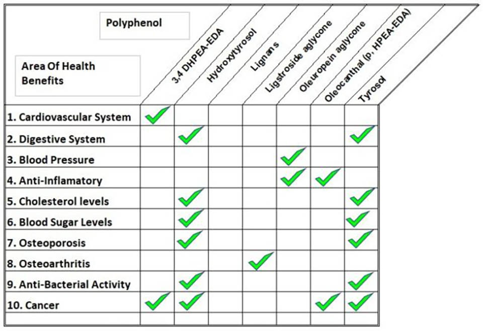 Polyphenol Rich Olive Oil - The Health Benefits