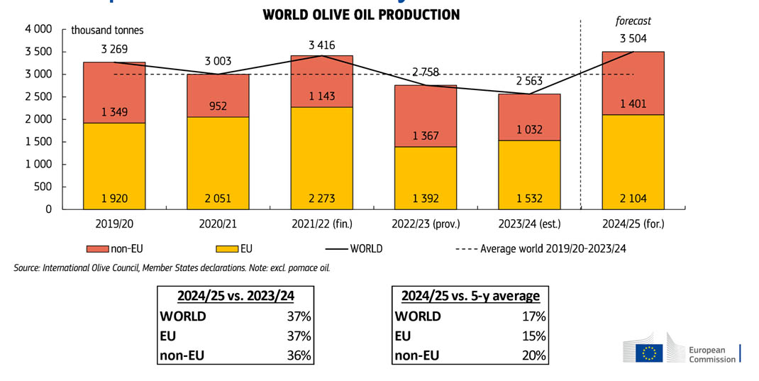 World Olive Oil Production recovery in 2024-2025