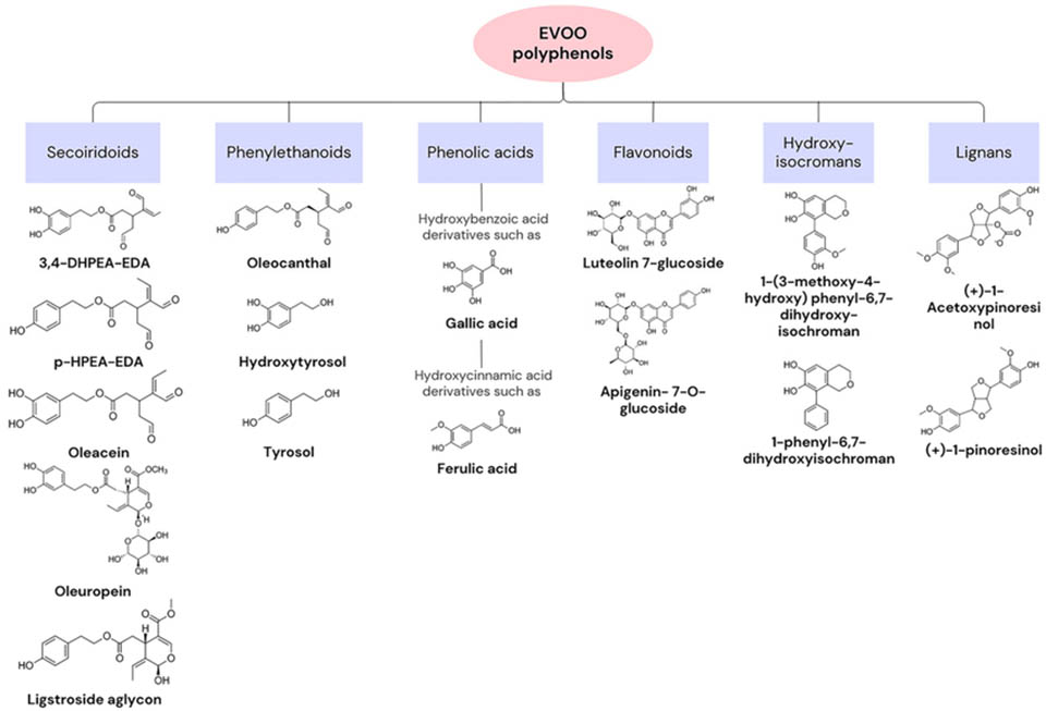 categories of extra virgin olive oil (EVOO) polyphenols examples - chemical composition